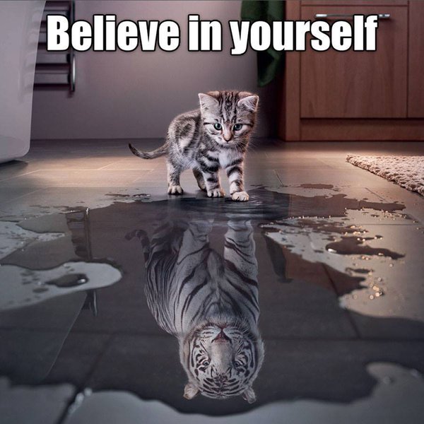 believe in yourself